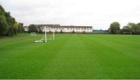 高羊茅草坪種子的建植方法與養(yǎng)護(hù)管理技術(shù)