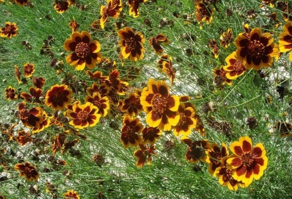 1628855963493749.jpg 1628855956.jpg