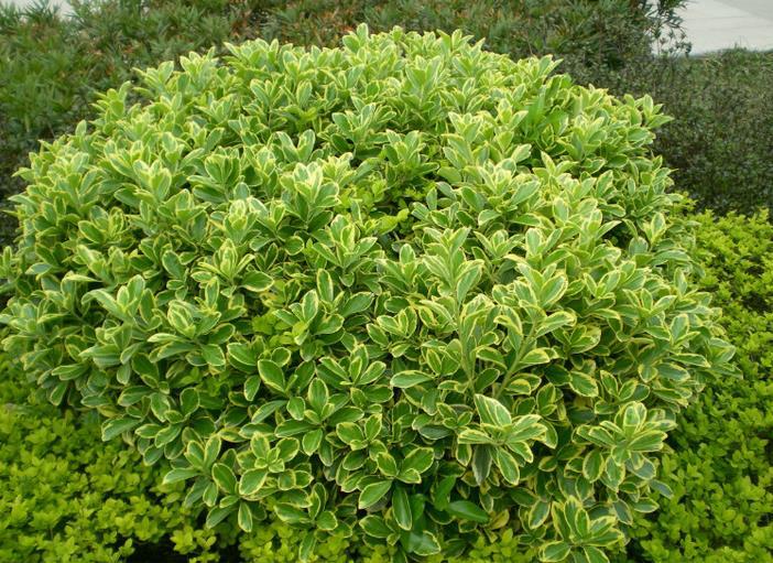 1628855987795222.jpg 1628855987795222.jpg