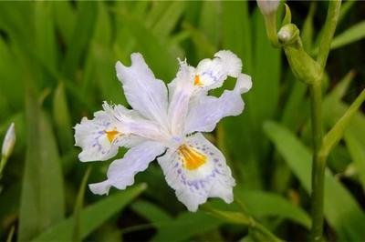 1628856993868789.jpg 1628856993868789.jpg