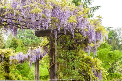 1628857244886933.jpg 1628857244886933.jpg