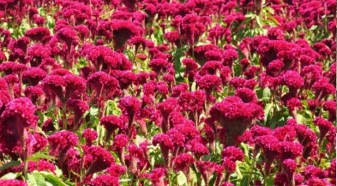 1628858114270175.jpg 1628858107(1).jpg