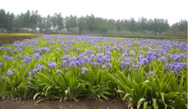 1628860820484487.jpg 1628860813.jpg