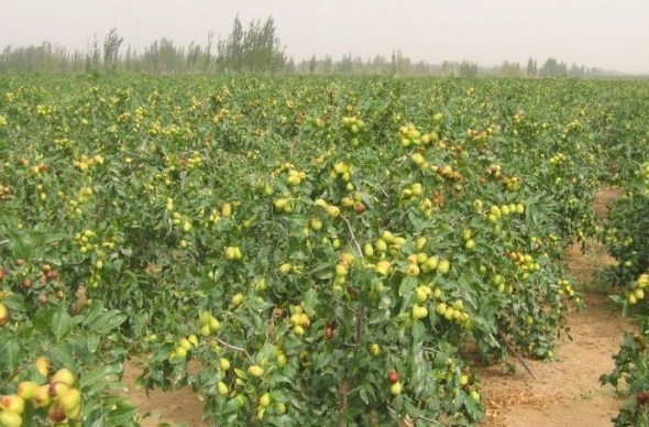 1628861580909007.jpg 1628861572(1).jpg