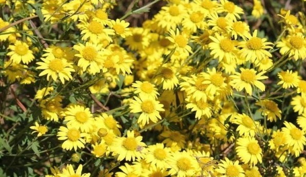 1628861732175771.jpg 1628861723(1).jpg