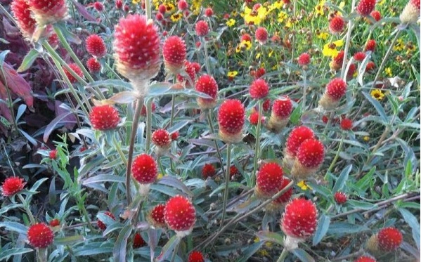 1628861844894471.jpg 1628861835(1).jpg