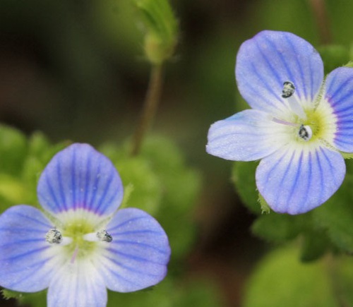 1628862705800089.jpg image.jpg