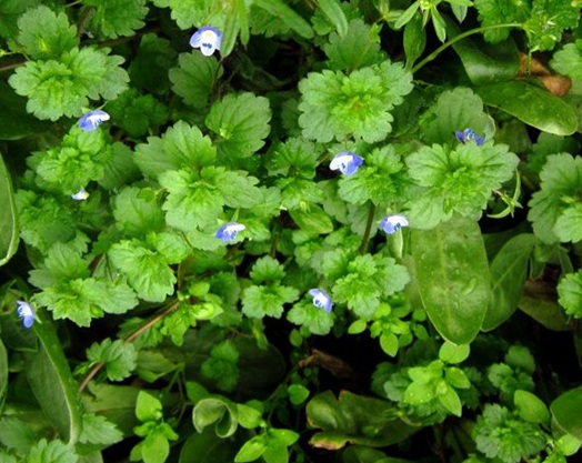 1628862724168900.jpg image.jpg