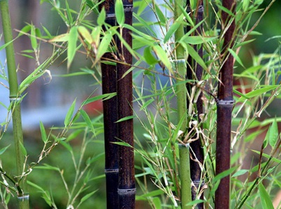 1628862841130143.jpg image.jpg