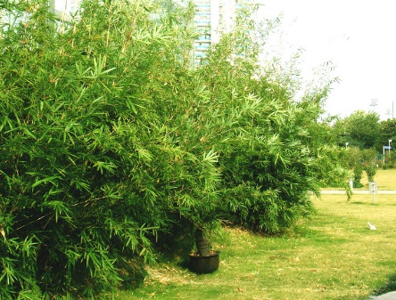 1628862877492846.jpg image.jpg