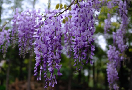 1628863331270036.jpg image.jpg