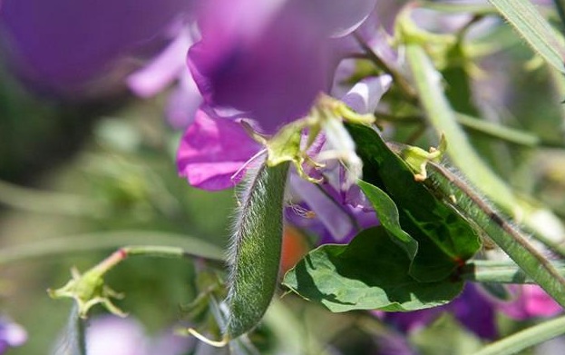 1628863340669086.jpg 1628863333(1).jpg