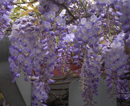 1628863353574677.jpg image.jpg