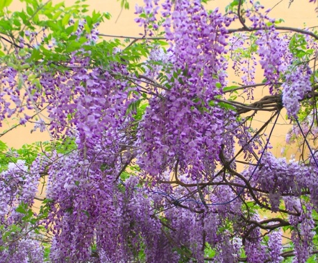 1628863390779129.jpg image.jpg