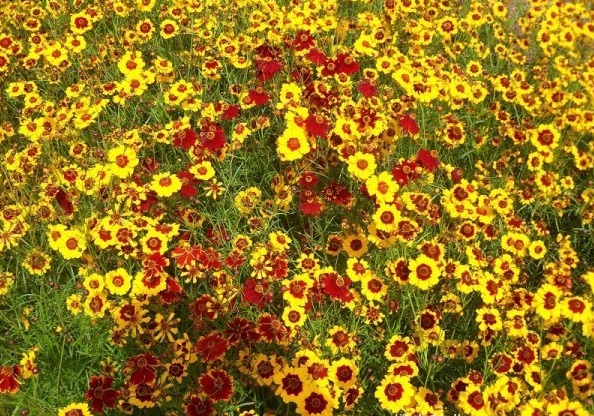 1628863769958767.jpg 1628863762(1).jpg