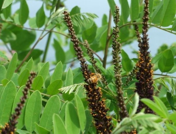 1628919184889611.jpg 1628919177(1).jpg