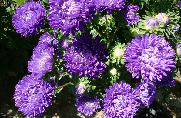 1628920825533246.jpg 1628920819(1).jpg