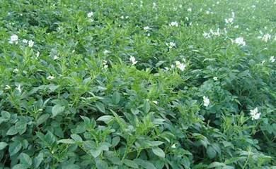 1628938357432835.jpg 1628938357432835.jpg