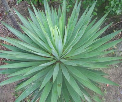 1628938718362074.jpg 1628938718362074.jpg