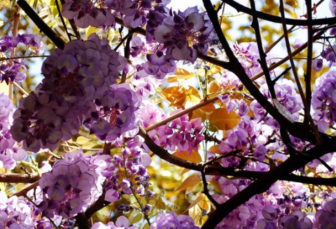 1628985729250378.jpg image.jpg