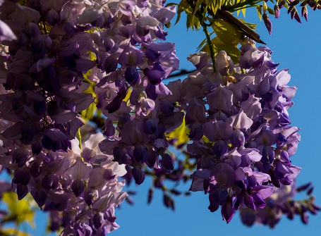 1628985744849407.jpg image.jpg