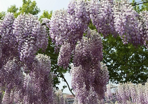 1628985924156214.jpg image.jpg