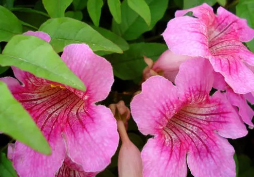 1628986291381434.jpg image.jpg