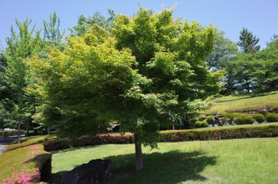 1629027063108821.jpg 1629027063108821.jpg