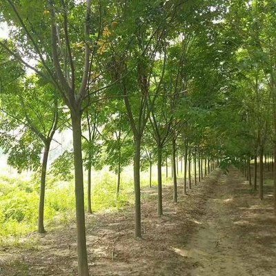 1629027127288874.jpg 1629027127288874.jpg