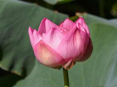 1629027536796684.jpg 1629027536796684.jpg