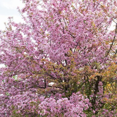 1629027871612836.jpg 1629027871612836.jpg