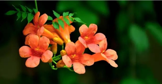 1629099491416888.jpg 1629099488(1).jpg