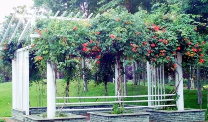 1629099518275303.jpg 1629099514(1).jpg