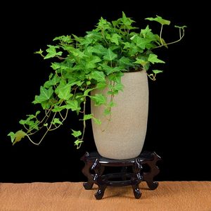 1629111576895445.jpg 1629111576895445.jpg