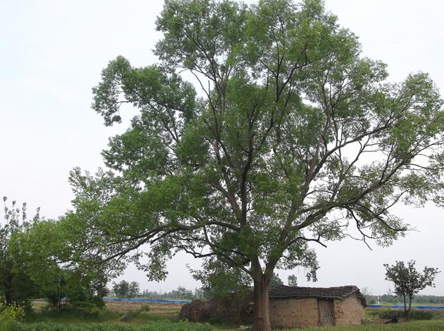 1629114569174262.jpg 1629114569174262.jpg