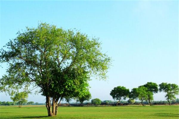 1629114591548486.jpg 1629114591548486.jpg