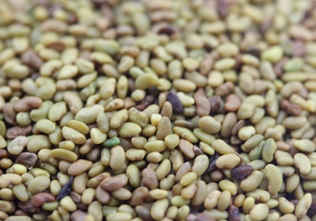 1629122222961584.jpg image.jpg