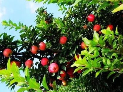 1629122558106395.jpg image.jpg