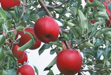 1629122587131460.jpg image.jpg