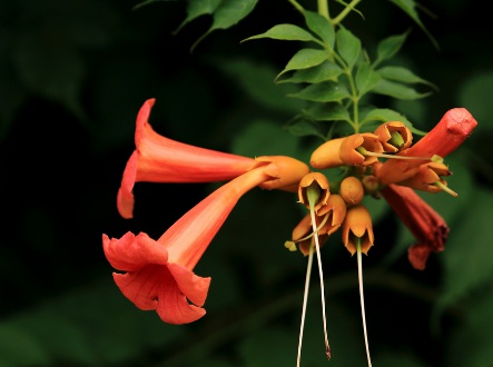 1629124077316056.jpg image.jpg