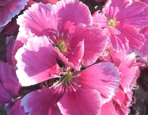 1629124214203560.jpg image.jpg