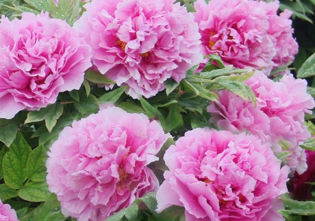 1629124342412332.jpg image.jpg