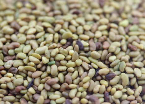 1629124545739428.jpg image.jpg