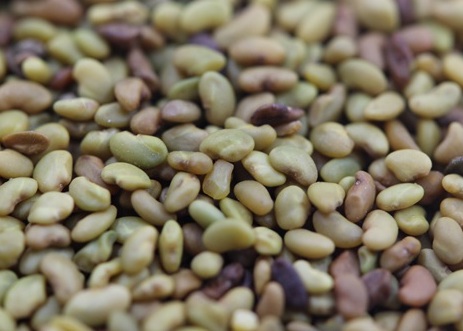 1629124553122874.jpg image.jpg