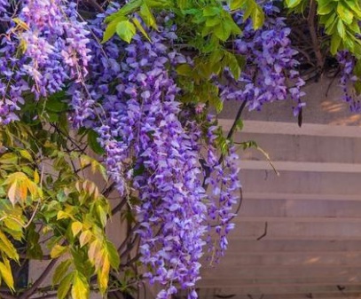 1629124745663484.jpg image.jpg