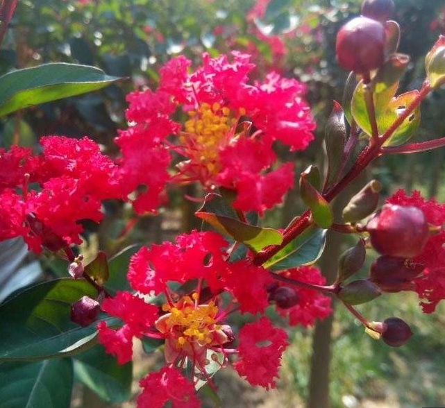 1629191372719014.jpg 1629191367(1).jpg