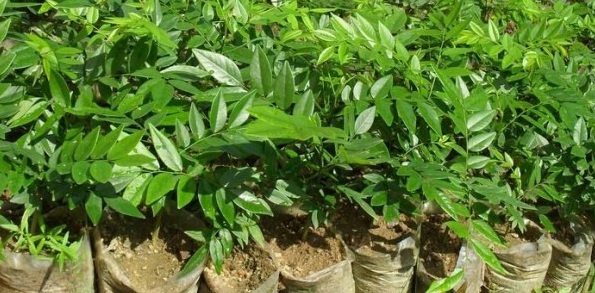 1629191750608409.jpg 1629191747(1).jpg