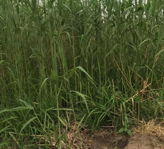 1629191962204710.jpg 1629191959(1).jpg