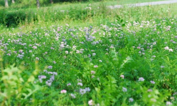 1629192745985619.jpg 1629192741(1).jpg