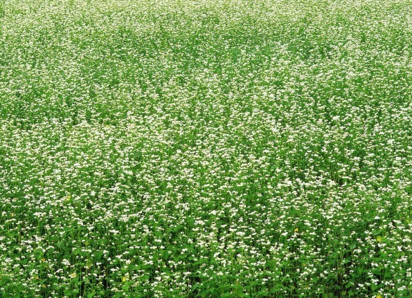 1629193098803619.jpg 1629193095(1).jpg